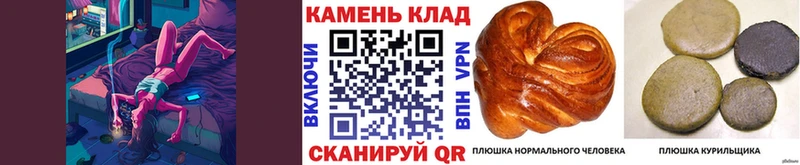 ГАШ VHQ  Купить закладки  Билибино 