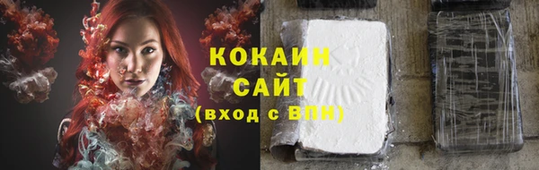 индика Бронницы