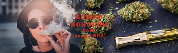 индика Бронницы