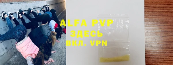 индика Бронницы