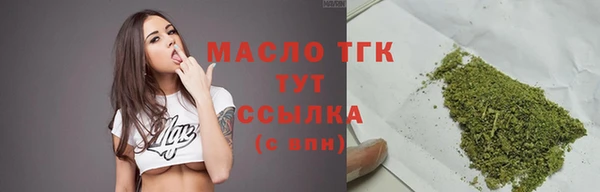индика Бронницы