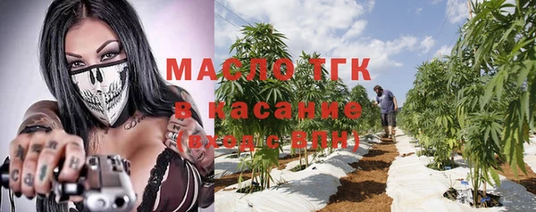 индика Бронницы