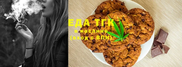 индика Бронницы