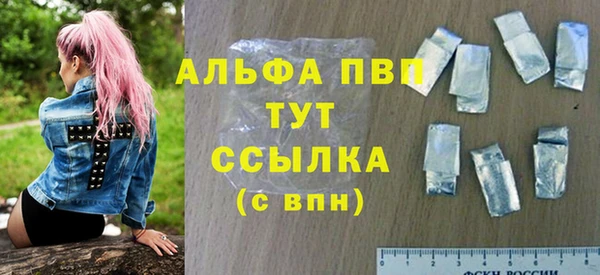 индика Бронницы