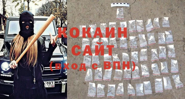индика Бронницы