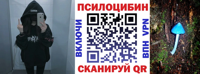 Псилоцибиновые грибы Psilocybine cubensis Купить Билибино