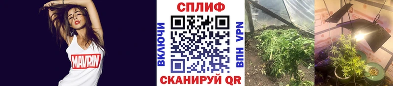 Канабис OG Kush Купить Билибино